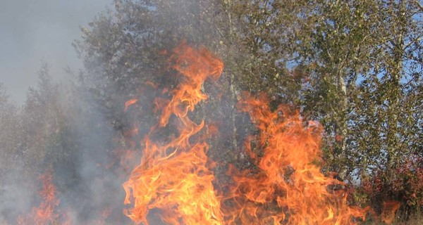 Донбасс охвачен пламенем