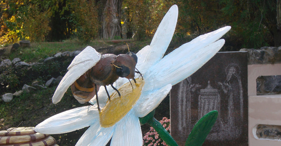 Докучаевский парк облюбовали гигантские пчёлы 
