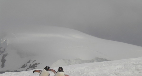 Донецкие горняки-альпинисты несут в Антарктиду черное золото и колокол 