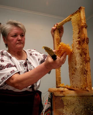 Экономику региона спасут пчелы?
