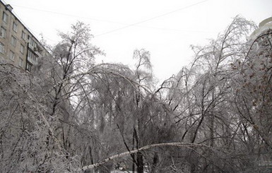 Ветер в Донецке будет бушевать до 26 февраля
