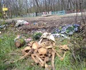 В центре Донецка перерыли старое кладбище. Трактор сгребает ковшом человеческие кости