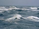 На берегу Азовского моря назревает экологическое бедствие