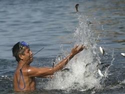 Мариупольцы ловят морскую рыбу руками