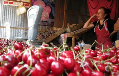 На рынках Донетчины продают «золотые» ягоды и фрукты