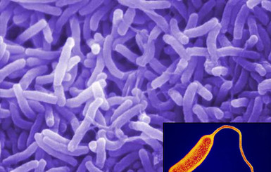 На Донетчине зафиксировано еще два новых случая заболевания холерой