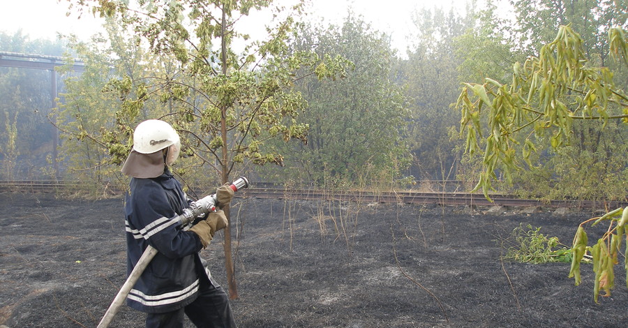 Фермеры безжалостно выжигают природу Донбасса 