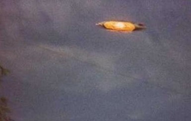 Небо над Донецком атакует НЛО?