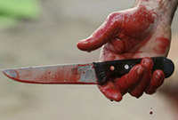 Дончанин нанес своему попутчику 27 ножевых ранений на трасе под Таврийском