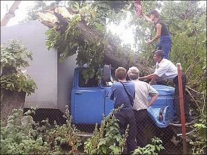 В центре Донецка на два грузовика рухнуло дерево 