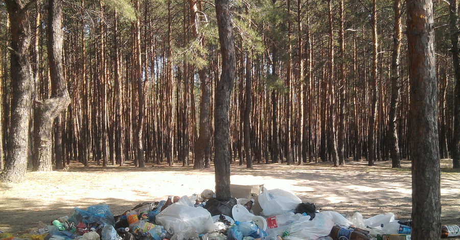 Леса на Донетчине утопают в мусоре