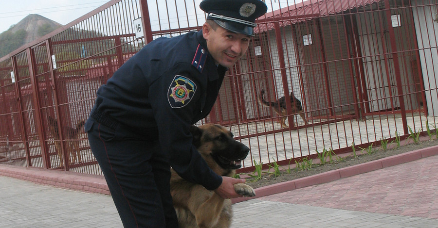 Наркодилеров защищали от милиции бойцовские собаки