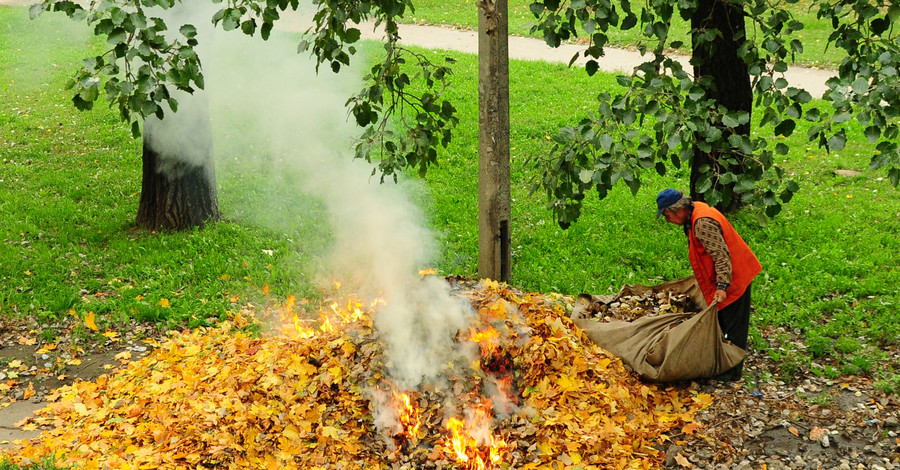 В Донецке жгут листья: одежда пахнет костром, на прогулку без противогаза не выходить!