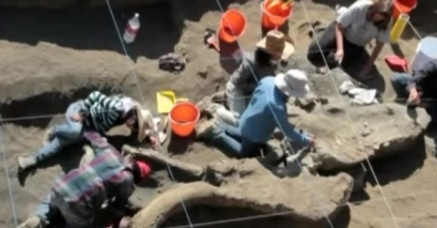 В самом центре мексиканского города откопали мамонта