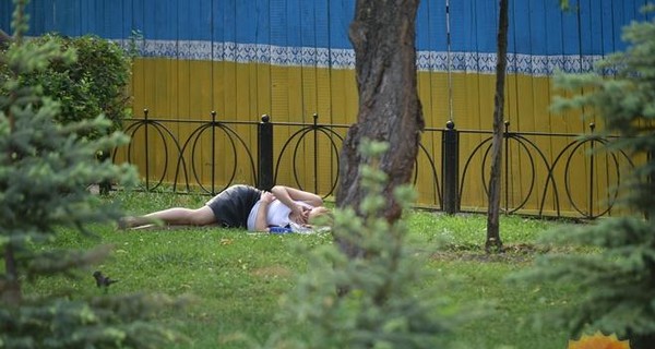 Жертвами аномальной жары в  Румынии стали  14 человек