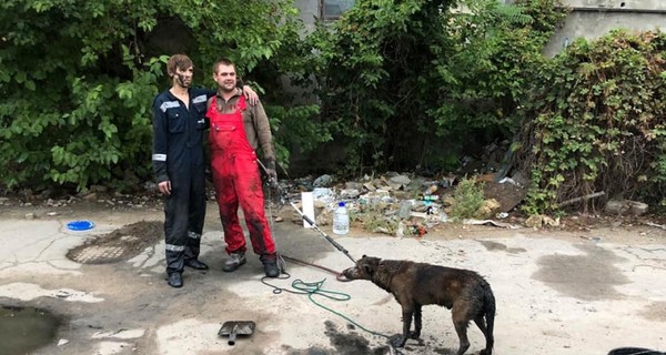 Одесситы с перфоратором семь часов спасали собаку