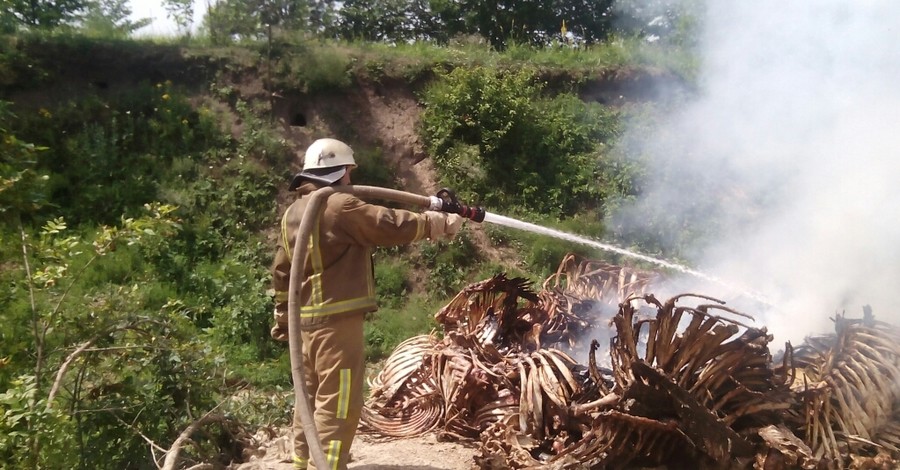 В Киевской области пожарные обнаружили кладбище костей животных