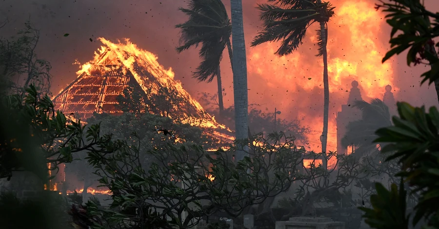На Гавайях из-за жары горят леса, погибли 36 человек