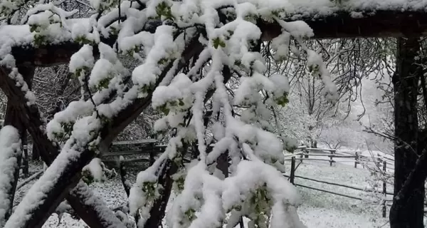 В Карпатах шесть градусов мороза и выпал снег