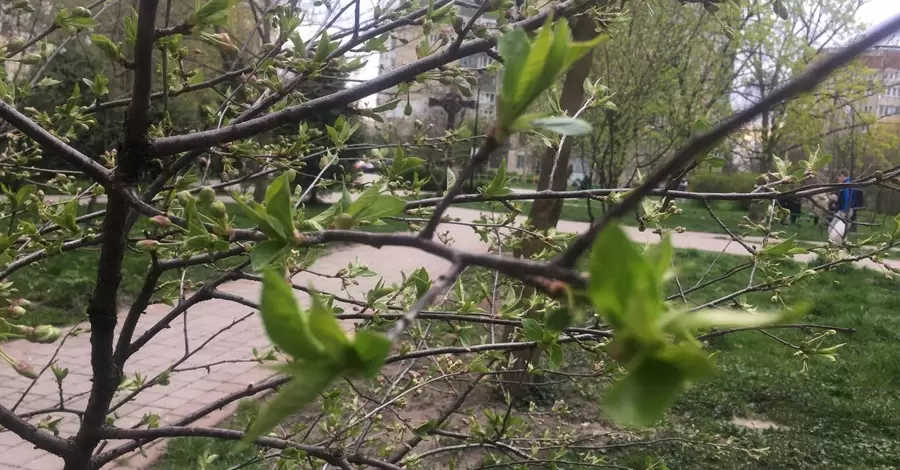 В Украину идет циклон с дождями и сильным ветром
