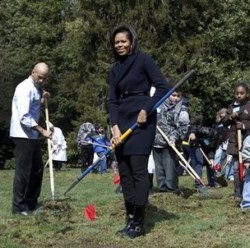 Жена Обамы перекопала лужайку перед Белым домом и устроила там огород 