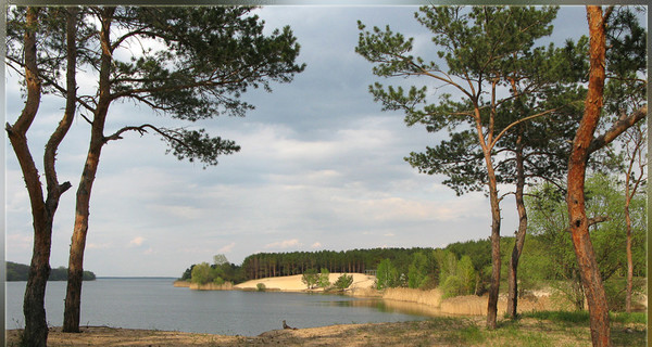 Водохранилище, из которого пьют Донецая, Луганская и Ростовская области, находится в критическом состояни