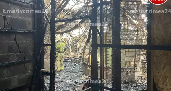 В результате пожара в зоопарке в Евпатории погибли более 200 животных